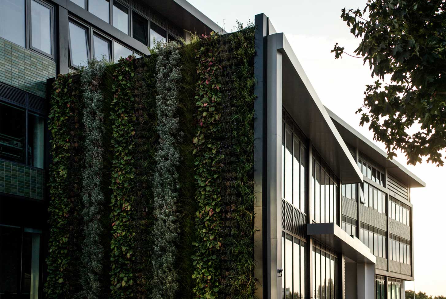 ritterman building with plantings