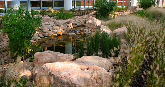 rock formation and landscaping 